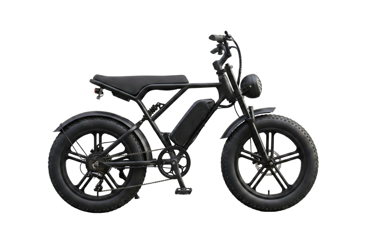 H9 Fat Bike - 90 degree side view