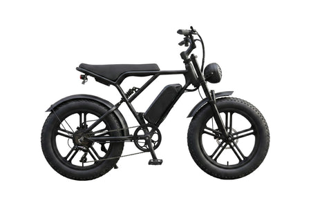 H9 Fat Bike - 90 degree side view