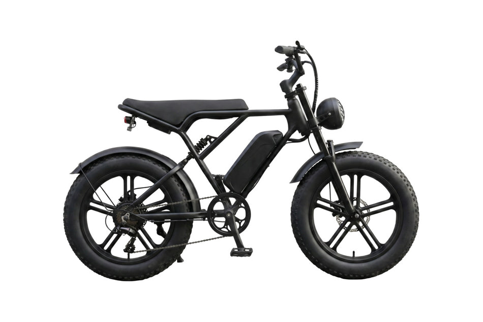 H9 Fat Bike - 90 degree side view
