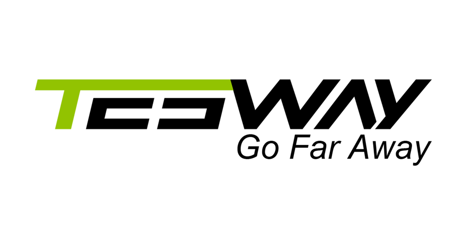 Tesway logo
