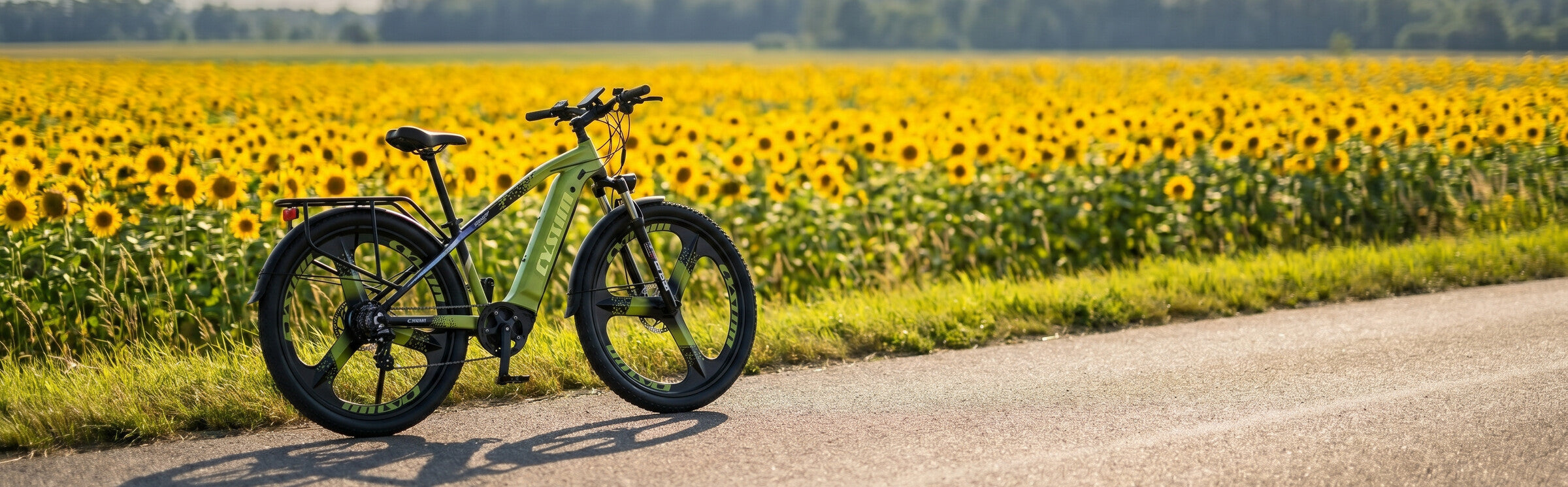 EBikeDepot hero slide 2 desktop sunflower road